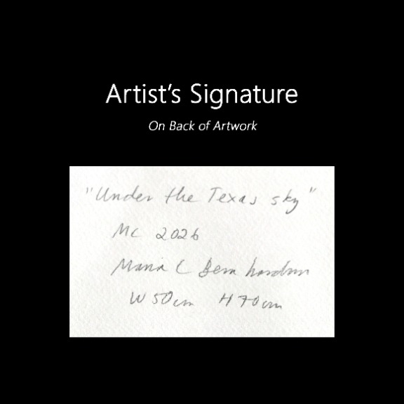 Maria C Bernhardsson: Under the Texas Sky image 6