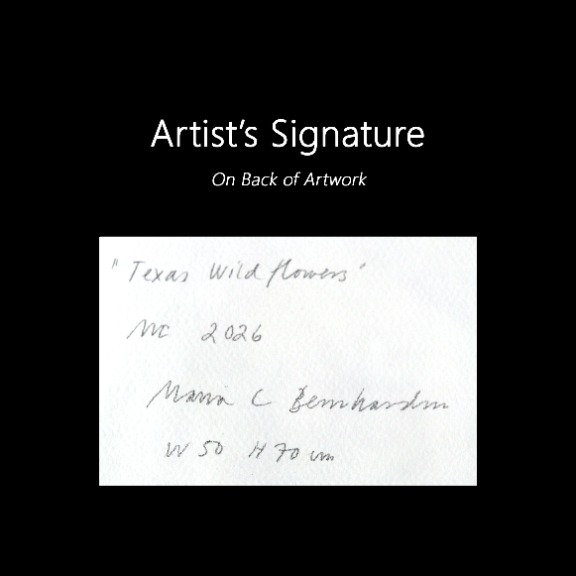 Maria C Bernhardsson: Texas Wildflowers image 6
