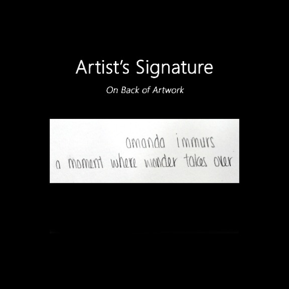Amanda Immurs: A Moment Where Wonder Takes Over image 6