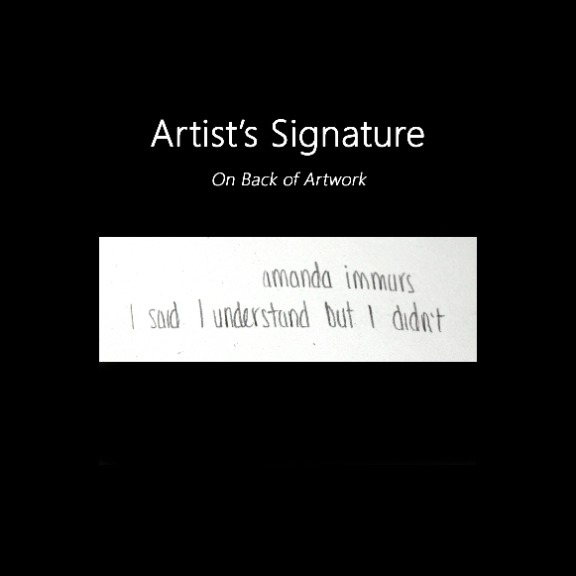 Amanda Immurs: I Said I Understand But I Didn't image 6