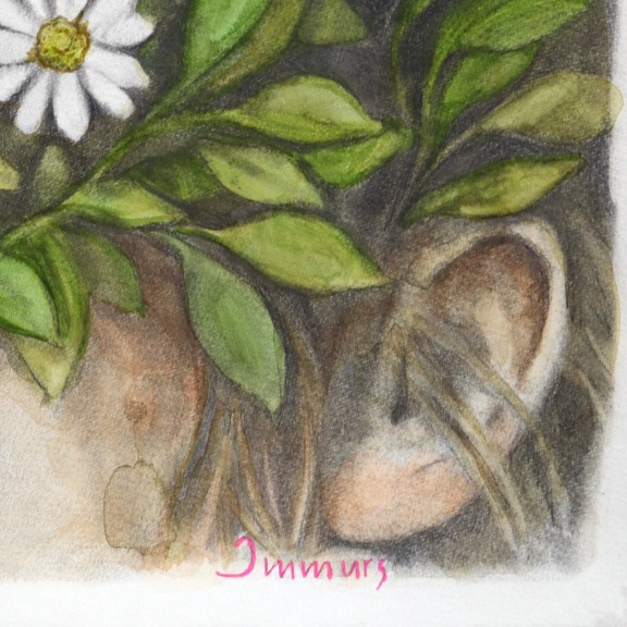 Amanda Immurs: Trees Did Not Ask Me to Speak image 6