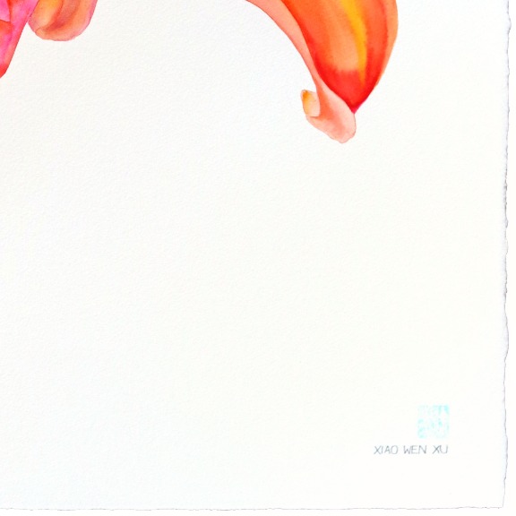 Xiao Wen Xu: Rainbowland Daylily image 6