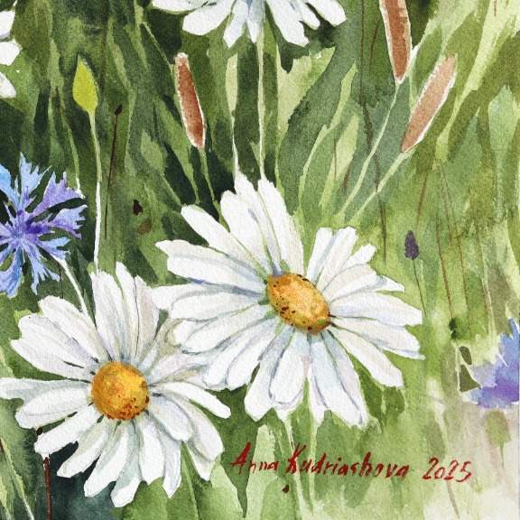 Anna Kudriashova: Sunset Daisies image 6