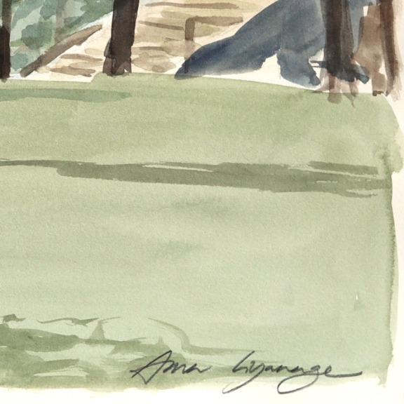 Ama Liyanage: Picnic image 6