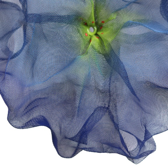 Atticus Adams: Cotton Candy Cumulus 9:18 image 6