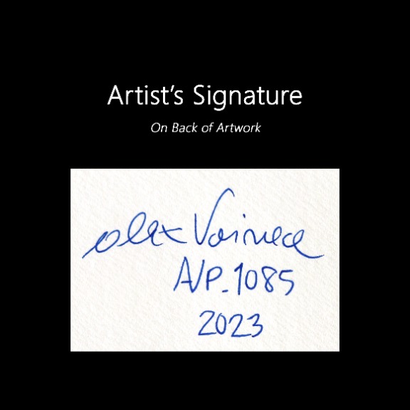Alex Voinea: avp_1085 image 6