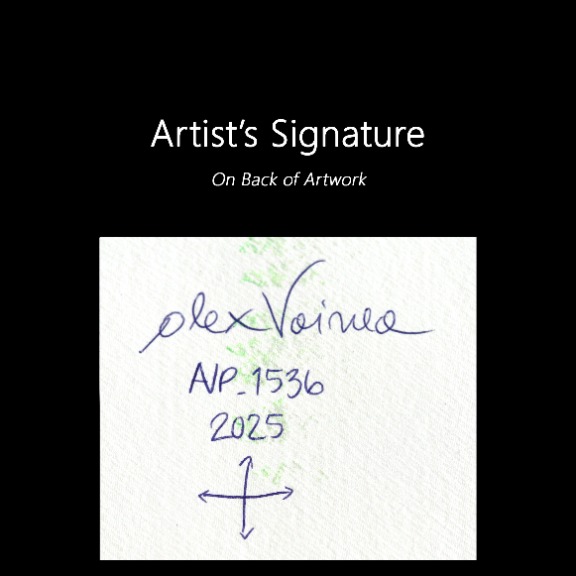 Alex Voinea: avp_1536 image 6