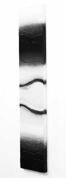 Nichole McDaniel: Shades of Black and White 1 image 7