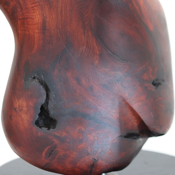 Joe Garnero: Metamorphosis II image 7