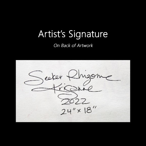 Krisanne Souter: Seeker Rhizome image 7