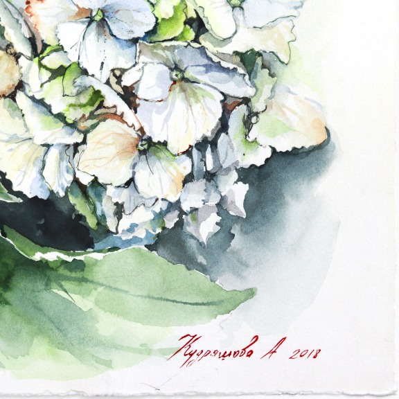 Anna Kudriashova: Green and White Hydrangeas image 7