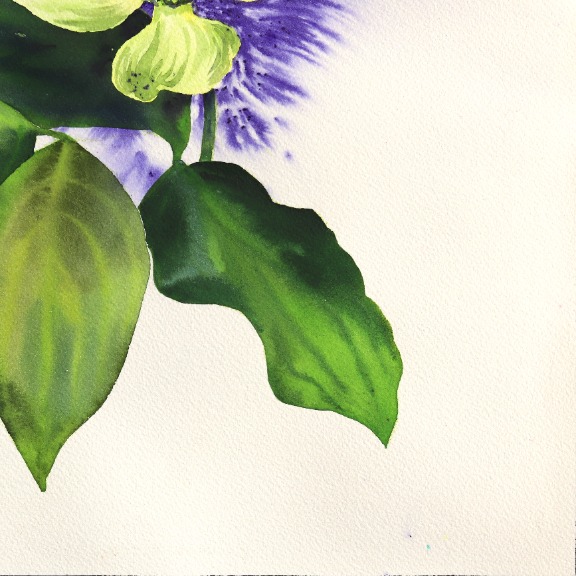 Xiao Wen Xu: Dogwood Flower image 7