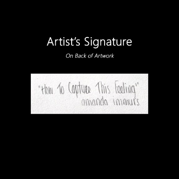 Amanda Immurs: How to Capture This Feeling image 7