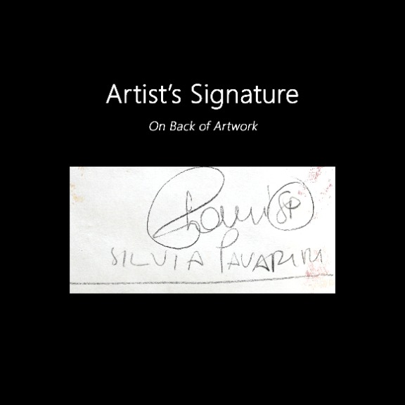 Silvia Pavarini: Passing Clouds image 7