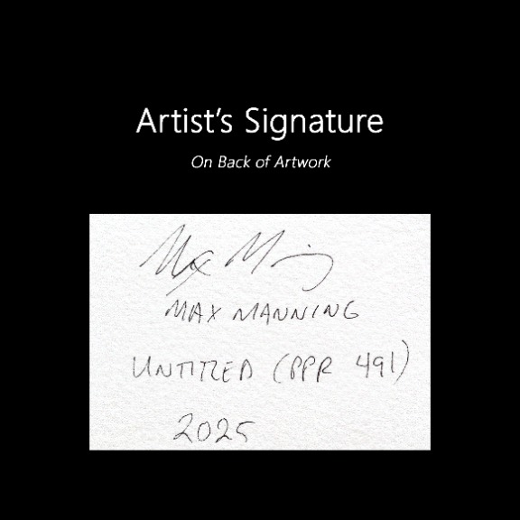 Max Manning: Untitled (PPR491) image 7
