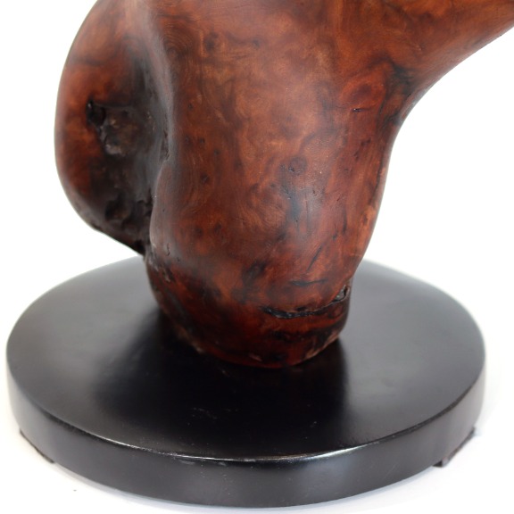 Joe Garnero: Diva image 7