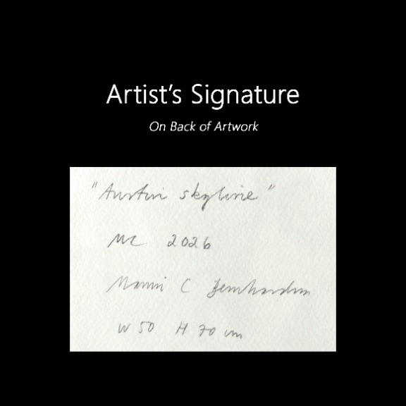 Maria C Bernhardsson: Austin Skyline image 7