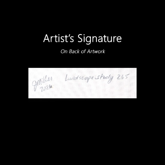Jodi Miller: Landscape Study 265 image 7