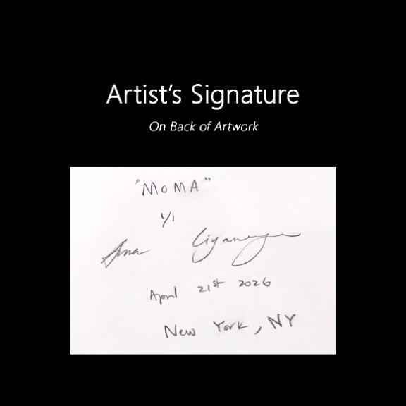 Ama Liyanage: MoMa image 7