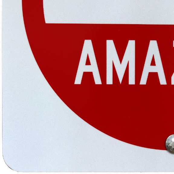 Scott Froschauer: You Are Amazing V image 8