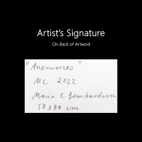 Maria C Bernhardsson: Anemones image 8