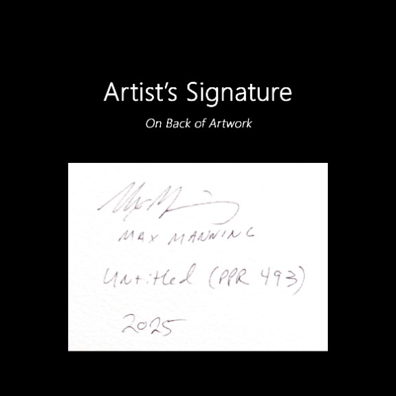 Max Manning: Untitled (PPR493) image 8