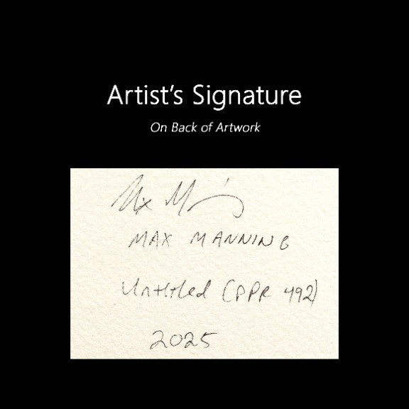 Max Manning: Untitled (PPR492) image 8