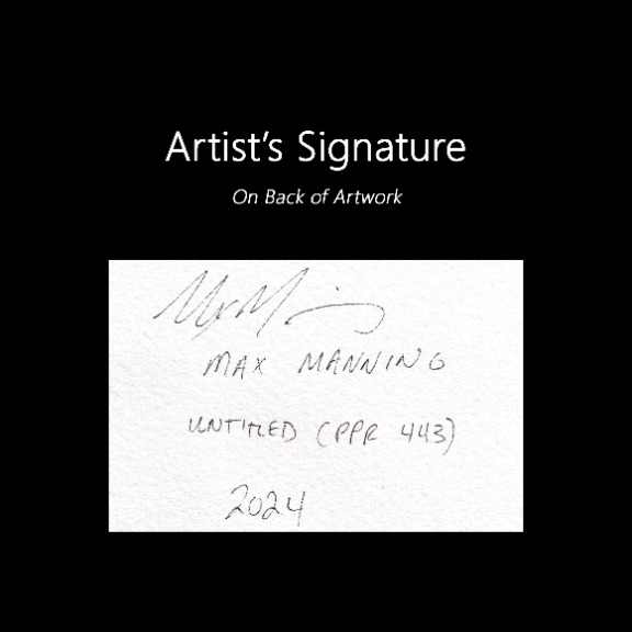 Max Manning: Untitled (PPR443) image 8