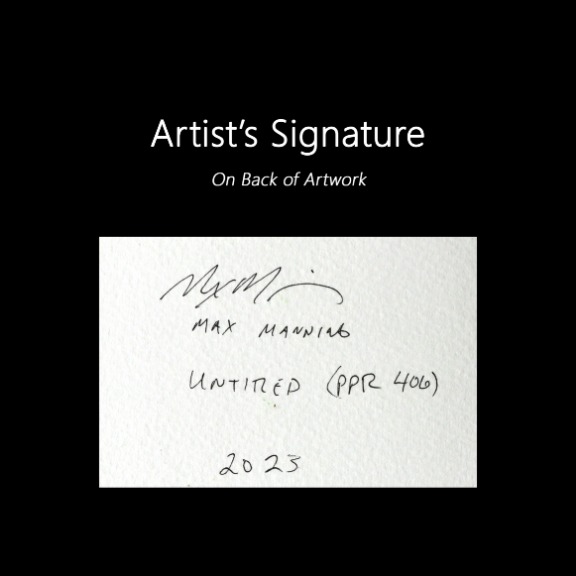 Max Manning: Untitled (PPR406) image 8