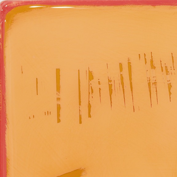Ricky Hunt: The Window 369 image 8