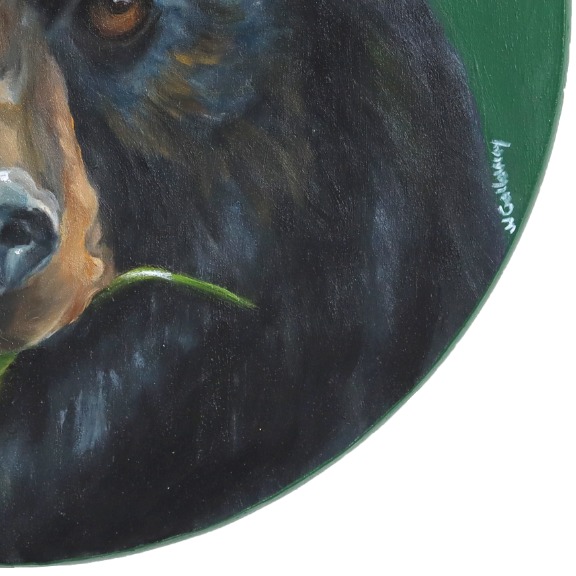 JJ Galloway: Boho Black Bear image 8