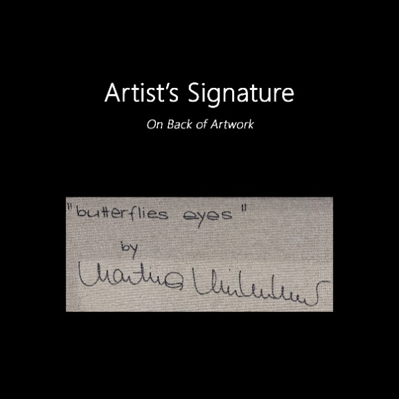 Martina Niederhauser: Butterflies Eyes image 9