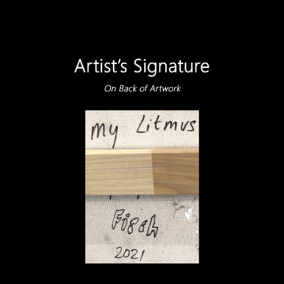 Jonas Fisch: My Litmus image 9