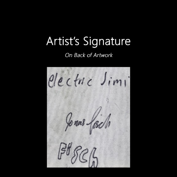 Jonas Fisch: Electric Jimi image 9