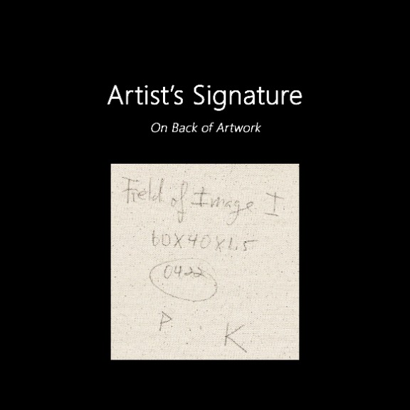 Peter Kuttner: Field of Image I image 9