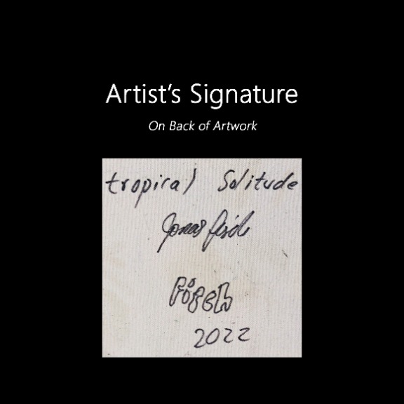 Jonas Fisch: Tropical Solitude image 9