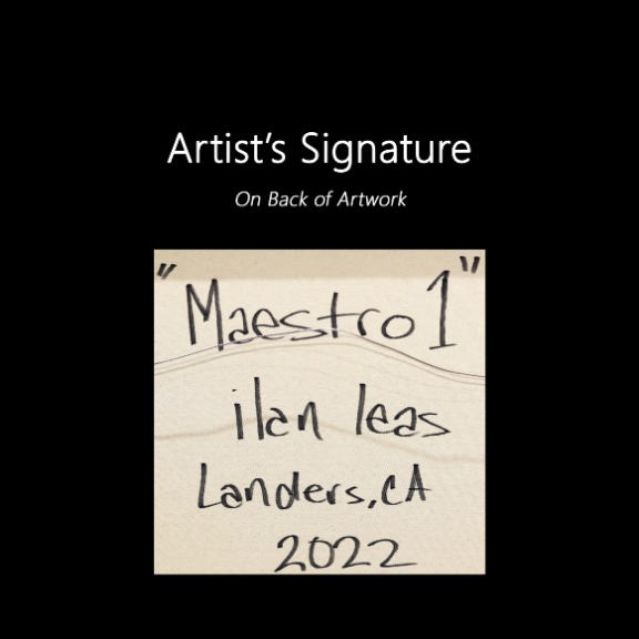 Ilan Leas: Maestro 1 image 9