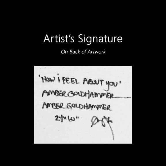 Amber Goldhammer: How I Feel About You image 9