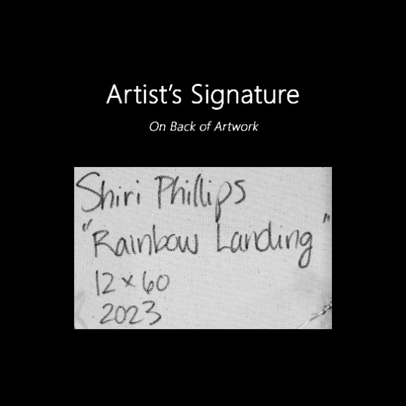 Shiri Phillips: Rainbow Landing image 9