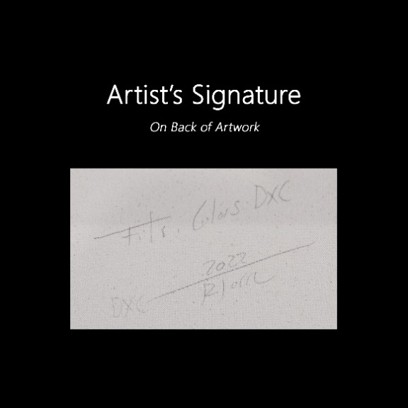 Raul de la Torre: Fils I Colors DXC image 9