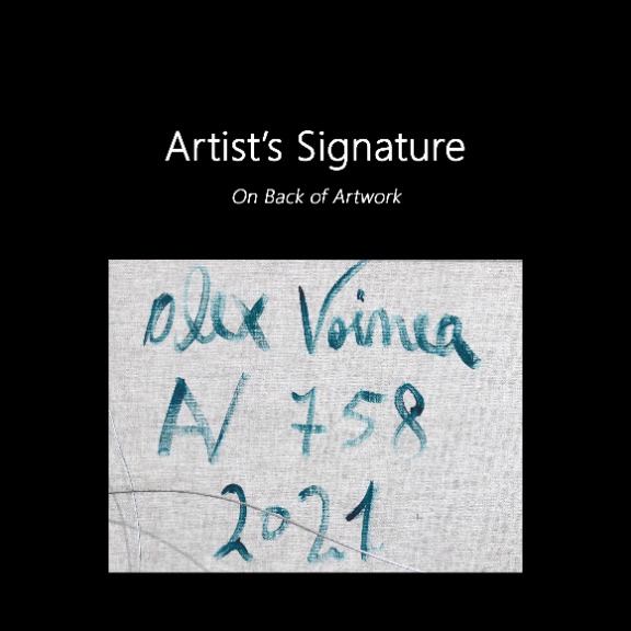 Alex Voinea: av_758 image 9
