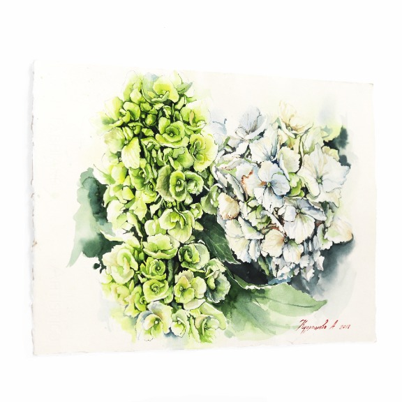 Anna Kudriashova: Green and White Hydrangeas image 9