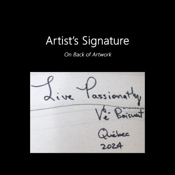 Ve Boisvert: Live Passionately image 9