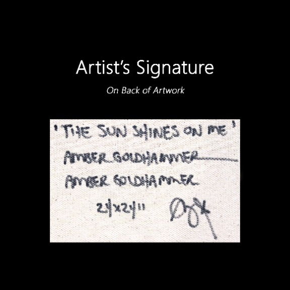 Amber Goldhammer: The Sun Shines On Me image 9