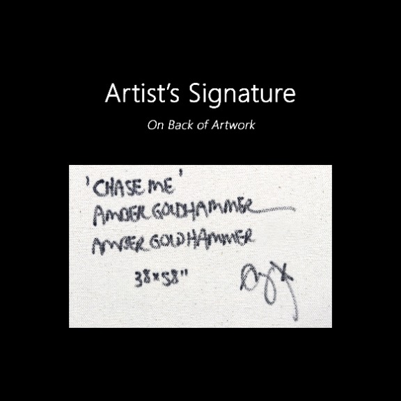 Amber Goldhammer: Chase Me image 9