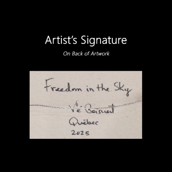 Ve Boisvert: Freedom In The Sky image 9