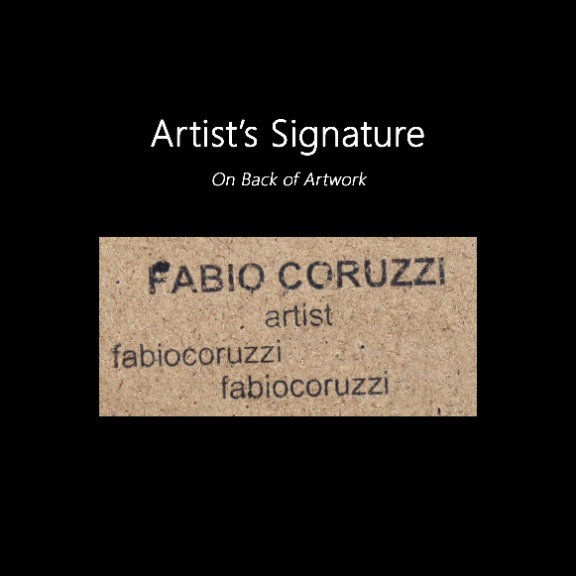 Fabio Coruzzi: Experience image 9