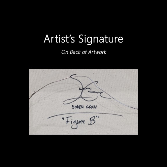 Soren Grau: Figure B image 9