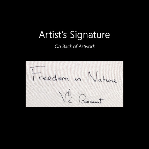 Ve Boisvert: Freedom in Nature image 9