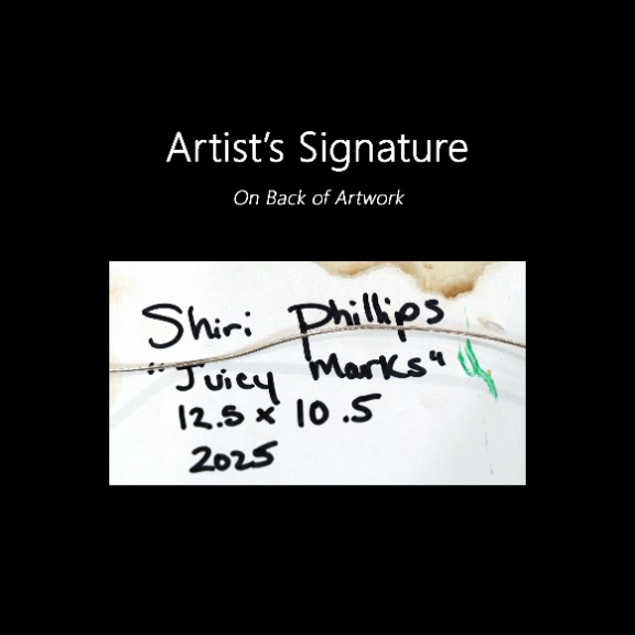 Shiri Phillips: Juicy Marks image 9